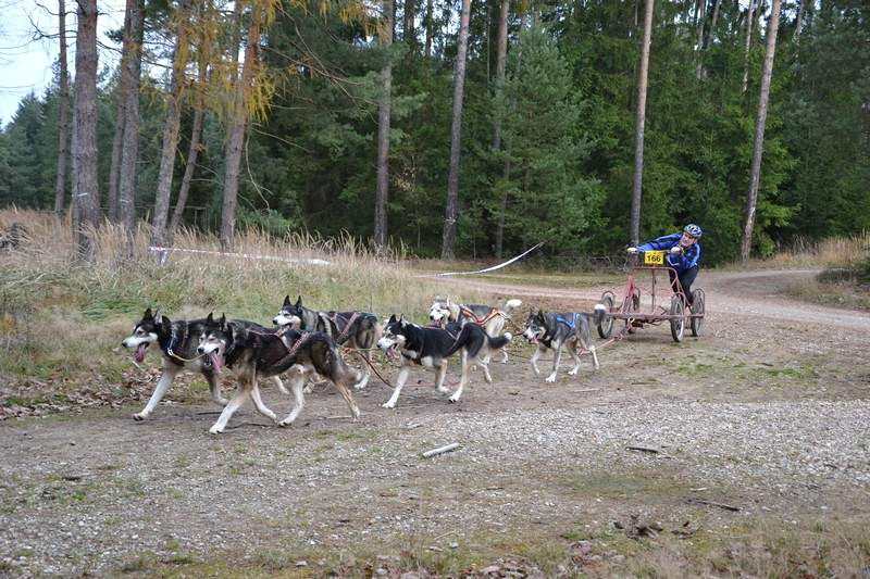Musher musí mít srdce bojovníka (4)
